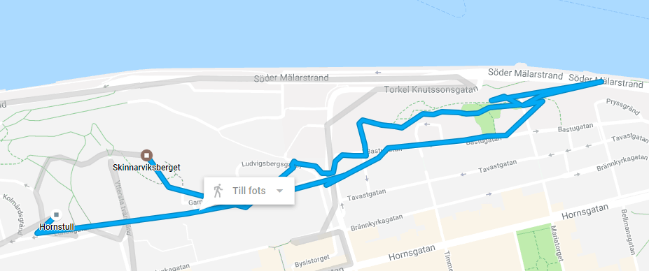 Stadsvandring på Södermalm